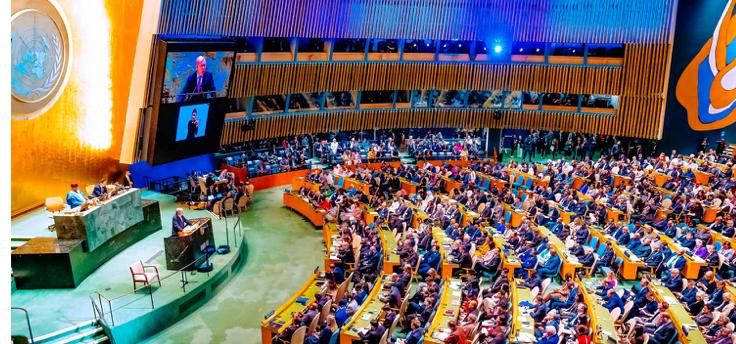 WhatsApp Image 2024-09-23 at 23.41.33