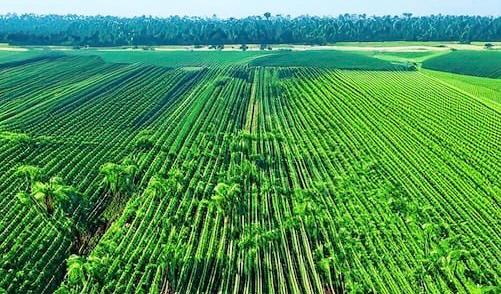 bd5ed6d5-4f2c-4be1-9b51-8350fd926af1